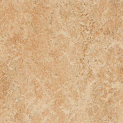 Marmoleum Marbled Real 3075 Shell - 2.0