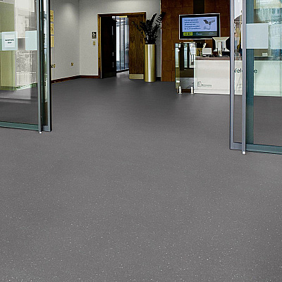 Surestep Original 172632 Coal - 2.0