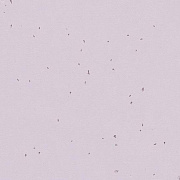 Sphera Energetic 50234 lilac - 2.0