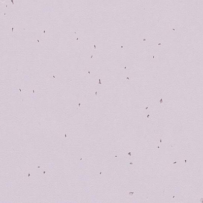 Sphera Energetic 50234 lilac - 2.0
