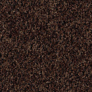 Coral Brush с кантом 5724 Chocolate Brown
