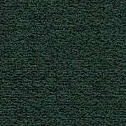 Coral Classic с кантом 4768 hunter green