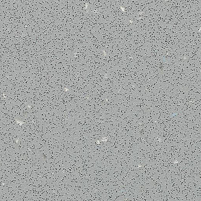 Safestep R12 175752 Slate Grey - 2.0