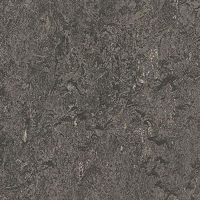 Marmoleum Marbled Real 3048 Graphite - 2.0
