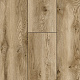 Arteo 10 XL 4V WR 54842 Дуб Фьордленд