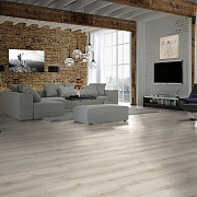 Kronopol Dresden 8 32 4V 5G DR 3786 Вяз Эльба