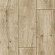 Arteo 8 XL 4V WR 54820 Дуб Пикус