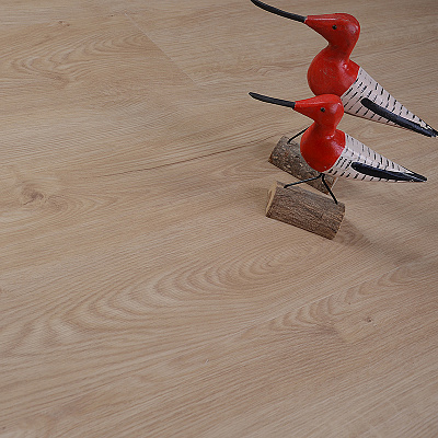 Evofloor Optima Click Oak Gavana