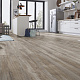 Kronotex Exquisit Plus  D3662 Дуб Монтмело серебряный