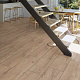 Kronotex Exquisit Plus  D4716 Каштан Пинот
