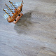 Evofloor Life Click Oak Borneo