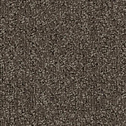 Coral Classic с кантом 4764 taupe