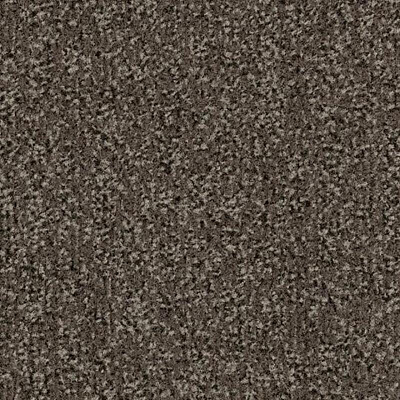 Coral Classic с кантом 4764 taupe