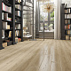 FAUS Syncro S172913 Luna Roble Oak