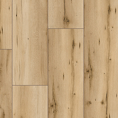 Arteo 8 XL 4V WR 54831 Дуб Денали