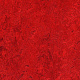 Marmoleum Marbled Real 3127 Bleeckerstreet - 2.5