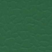 LG Multi 6.0 6606 Dark Green