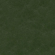 Marmoleum Solid Decibel Walton 335935 Bottle Green - 3.5