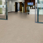 Marmoleum Marbled Fresco 3252 Sparrow - 2.5