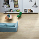 Alloc Grand Avenue 8541 WS Лафает (8541) U4