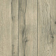 Alloc Original  04491 Дуб Весенний (62001357) U2