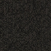 Coral Classic с кантом 4756 bronzetone