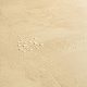 Quick Step Muse Ultra (Rus) MUU 5489 Песчаник