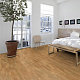 Karelia  Дуб Селект трехполосный Oak Select 3S