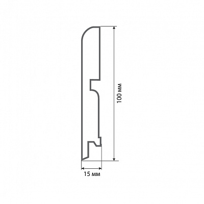 Finitura dekor R13 100х15х2400/ 011