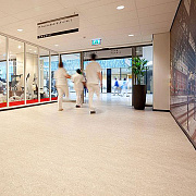 Marmoleum Marbled Real 3120 Rosato - 2.5