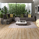 Arteo 8 XL 4V WR 54807 Дуб Коннемара