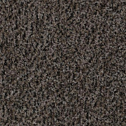Coral Brush с кантом 5714 Shark Grey