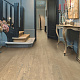 Quick Step Desire UC 3463 Дуб светло-серый золотистый