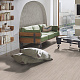 Fiorentino TC 8 32 V4 5529NL Дуб Орегон