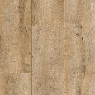 Arteo 8 XL 4V WR 54807 Дуб Коннемара