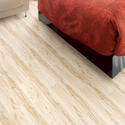 Corkstyle Wood  Maple (glue)
