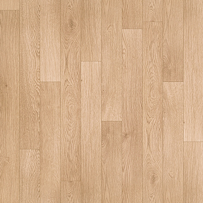 Premium AS Falco 2_1159