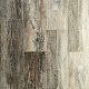 Skalla Standart ST304 Дуб Малвик (Oak Malwick)