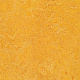 Marmoleum Marbled Real 3225 Dandelion - 2.5