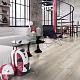 Kronopol Dresden 8 32 4V 5G DR 3786 Вяз Эльба