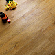 Skalla Standart ST301 Дуб Вега (Oak Vega)