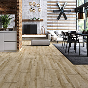 Arteo 8 XL 4V WR 54820 Дуб Пикус