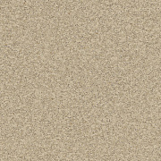 Premium AS Nevada 1_9002