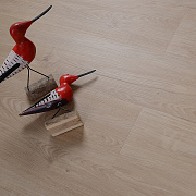 Evofloor Optima Click Oak Gavana