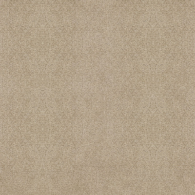 Echo 334