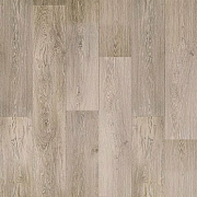 Arkada Samson 12_161L - 3.1