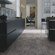 Wineo 800 Wood DLC00082 Riga Vibrant Pine Сосна рига яркая