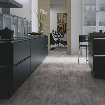 Wineo 800 Wood DB00082 Riga Vibrant Pine Сосна рига яркая