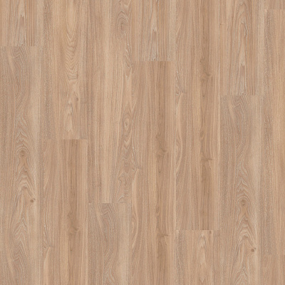 Wineo 400 Wood DLC00109 Compassion oak tender