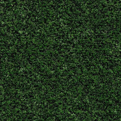 Coral Brush с кантом 5708 avocado green